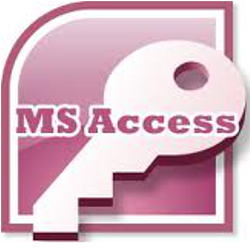 MS Access programmer Washington DC